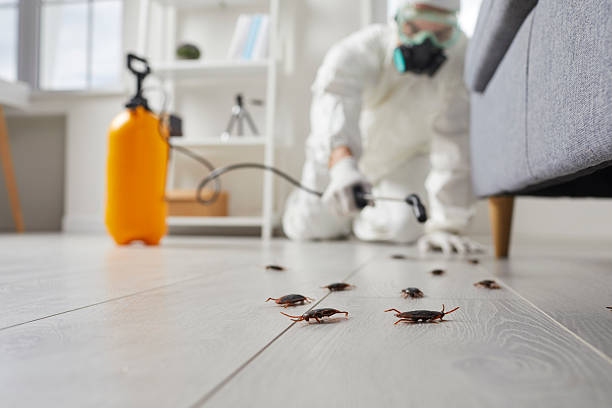Commercial Kitchen Cockroach Control in Linton Hall
